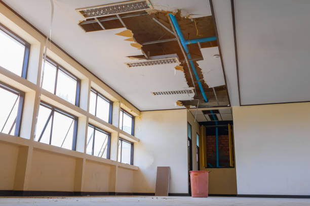 Best Ceiling water damage repair  in Lawson Heights, PA