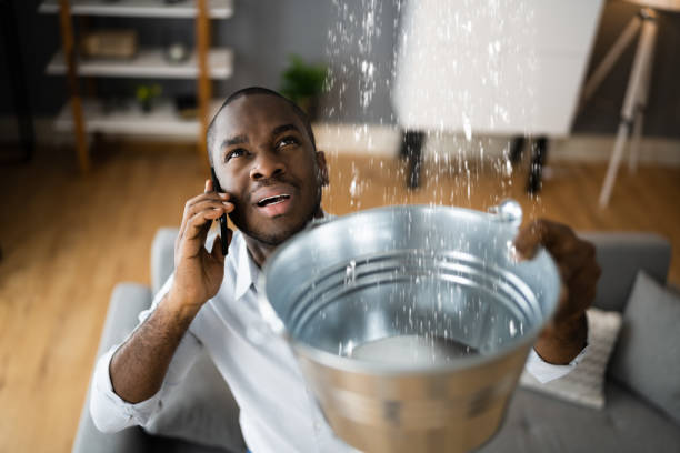 Best Water damage contractors near me  in Lawson Heights, PA