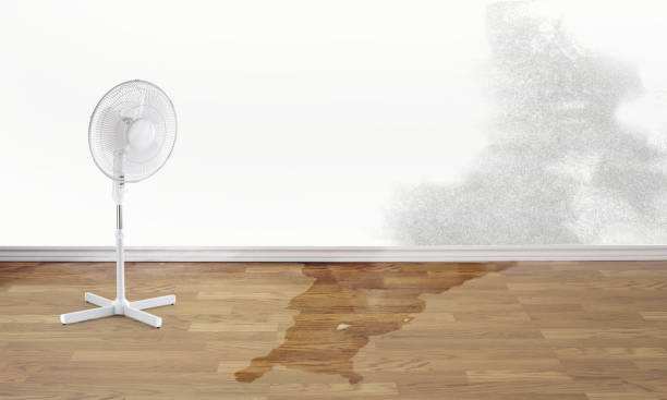 Best Flooded house restoration  in Lawson Heights, PA