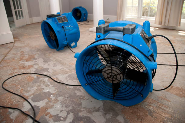 Best Carpet water damage restoration  in Lawson Heights, PA