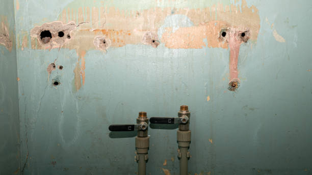 Best Flooded house restoration  in Lawson Heights, PA
